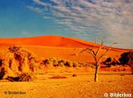 Desierto  africano 