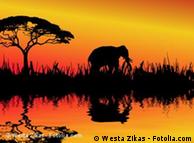 Botsuana tem maior população de elefantes da África