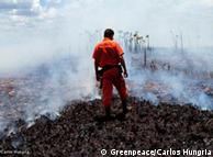 No Brasil, Greenpeace denuncia desmatamento e luta contra novo Código Florestal