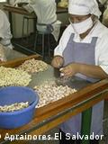 A extração da amêndoa da castanha de caju depois de seca, é um processo que exige tempo, método e mão-de-obra
