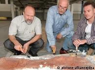 Ulrich Joger, Edgar Sommer und Ralf Kosma (de izq. a dcha.), del Museo de Historia Natural de Brunswick, con los huesos del ictiosaurio.