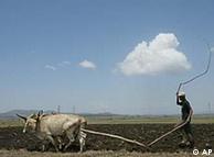 A farmer ploughs his land on the outskirts of the Ethiopian capital