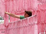 هنرمند آلمانی، رناته بون، در میان اثر خود در پیوند با موضوع خشونت جنسی علیه زنان و دختران، با ۲۰۰۰ کراوات صورتی رنگ کاغذی