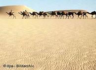 المجتمع البدوي في الصحاري مهدد بالانقراض