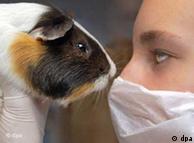آلاف الحيوانات تموت سنويا في المختبرات العلمية لإجراء التجارب عليها