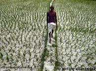 Farmer in a dry field in India