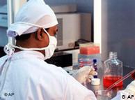 Scientist in a lab studying embryonic stem cells
