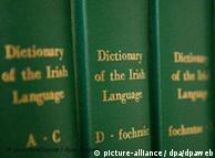 爱尔兰语字典