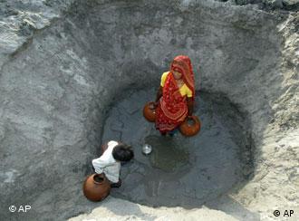 Agricultores indianos utilizam água na plantação de pepinos