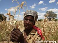Mujer en Simbabwe, en medio de un cultivo de maíz: las mujeres, la clave contra el hambre.