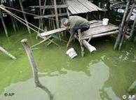 2007年受蓝藻污染严重的太湖