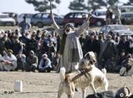 مراسم سگ جنگی در افغانستان