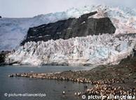 Colonia de pingüinos reales ante un glaciar en la costa de Georgia del Sur.