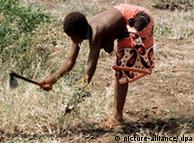 Женщина на полевых работах в Кении
