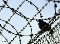 Какво да се прави с Гуантанамо, е въпрос, който занимава и бъдещия президент Обама
