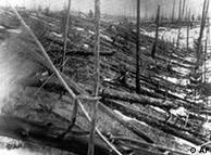 Trees lay strewn across the Siberian countryside 45 years after a meteorite struck the Earth near Tunguska, Russia in 1953