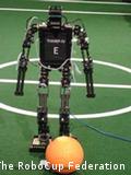 A small black robot about to kick an orange ball on a robot soccer field