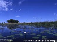 Delta do rio Okavango: integrado ao parque Kaza