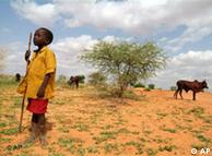 An African youth leads cattles to graze in dry land 
