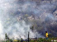 Lahan hutan di Riau yang dibakar untuk dijadikan areal perkebunan (AP Photo/Tatan Syuflana) 