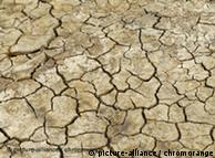 A picture of dried and cracked earth