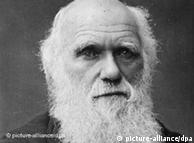 Foto del científico Charles Darwin fechada en 1878. 
