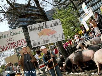 Patente para localização de gene suíno gera protestos na Alemanha