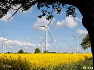 Windmills on a landscape of yellow flowers and trees
