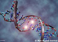 Απεικόνιση DNA