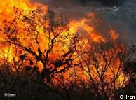 آتش‌سوزی جنگل‌های کرمانشاه