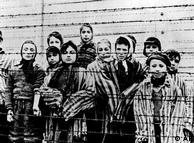 ۲۳۲ هزار کودک در آشویتس - بیرکنائو در اسارت نازی‌ها بودند. اکثر آنان یهودی و بقیه کولی، لهستانی، روس و اوکراینی بودند. فقط دو هزار تن از آن کودکان زنده ماندند، که ۲۰۰ تن از آنان هنوز زنده‌اند. تصویر بالا متعلق به ژانویه ۱۹۴۵ است. 