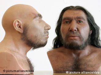 Neandertal: menor capacidad cognitiva que el Homo Sapiens 0,,5390149_4,00