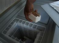 A eco-friendly refrigerator in Swaziland