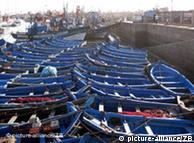 Fischerboote im Hafen des marokkanischen Essaouira (Foto: picture-alliance)