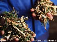 Biomasa se cultiva en Alemania cuidando la naturaleza.