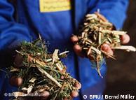 O mais conhecido exemplo de biomassa: folhas e galhos transformados em briquetes
