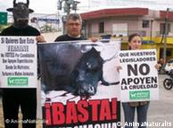 反对斗牛活动的示威者