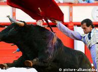 Spanish bullfighter Leandro Marcos performs during a bullfight 