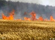 Dry grass burning near the town of Voronezh, south of Moscow