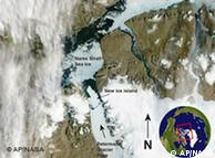 Satellite photo of the Petermann glacier
