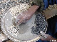 A man's hands separate coltan ore from other rocks 