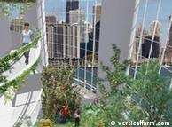 Gambar simulasi budidaya di gedung kaca bertingkat (Foto: verticalfarm.com)