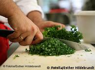Голяма част от българските стажанти учат за готвачи