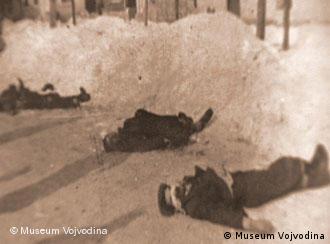 Žrtve masakra u Novom Sadu