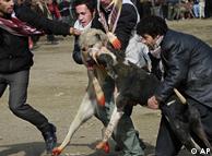 دو مرد در حال جدا کردن سگ ها در میدان مسابقه
