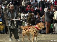 سگ جنگی در کابل 0,,6445976_1,00