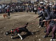 سگ جنگی در کابل 0,,6445984_1,00