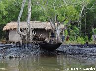 Habitação em manguezal poluído pelos vazamentos de petróleo