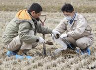 Fukushima Prefectural officers collect soil to check if it is contaminated by radioactive materials or not at a rice paddy in Kunimimachi, northern Japan Thursday, March 31, 2011. (AP Photo/Yomiuri Shimbun, Tsuyoshi Yoshioka) JAPAN OUT, MANDATORY CREDIT