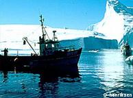 A fishing boat in front of an iceberg in Greenland